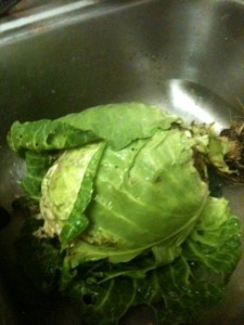 Cabbage from the garden